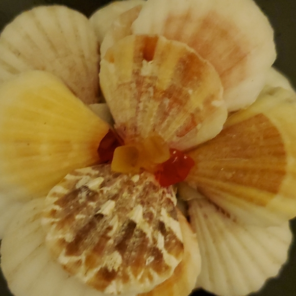 Home decor shell flower - Picture 4 of 6